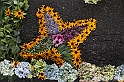 VBS_9628 - Infiorata di Villanova d'Asti 2023
